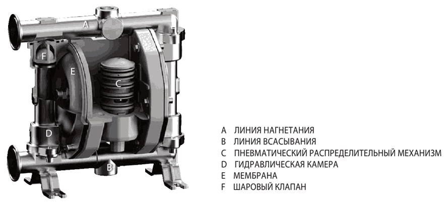 Основные элементы конструкции насоса Seko Duotek FOOD