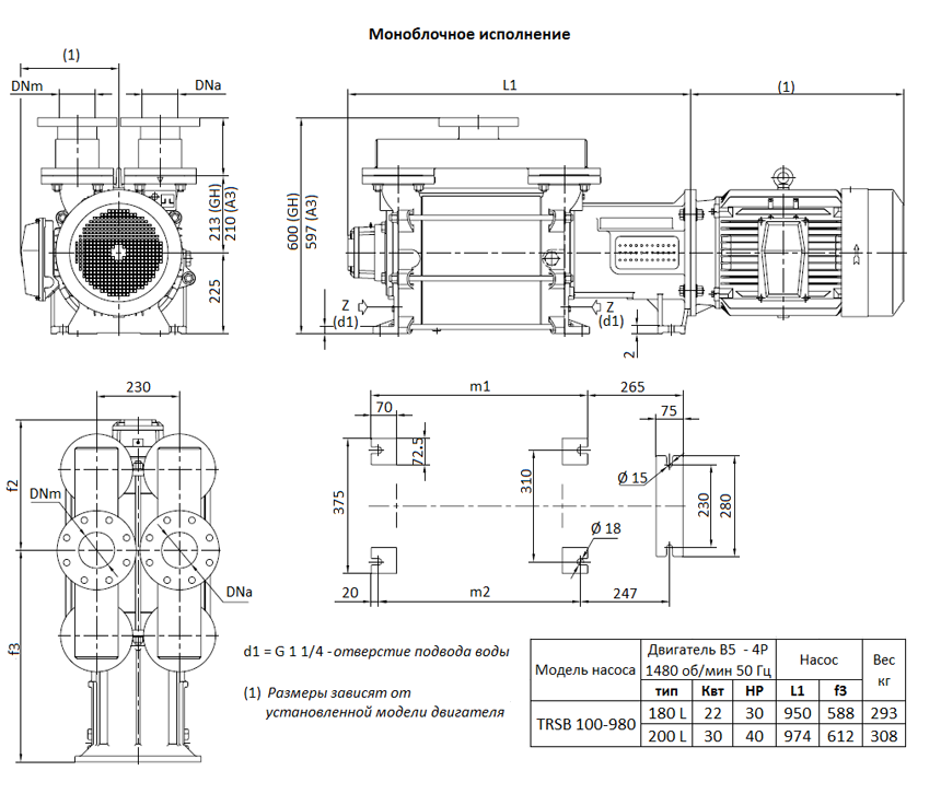Габаритный чертеж насоса Pompetravaini TRSB 100-980*
